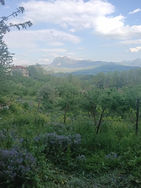 terreno edificabile in vendita a Montefredane
