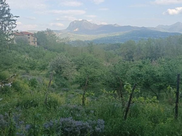 terreno agricolo in vendita a Montefredane