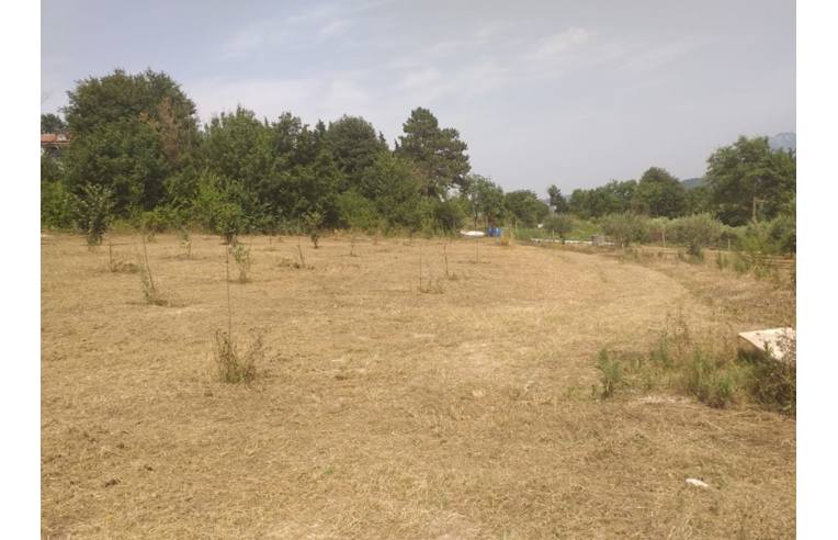 terreno agricolo in vendita a Montefredane