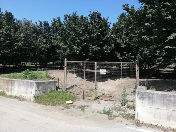 terreno agricolo in vendita a Montefredane in zona Boscomagliano