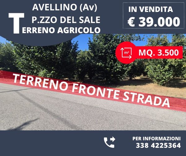 terreno agricolo in vendita a Montefredane in zona Boscomagliano
