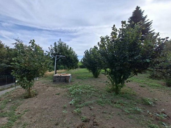 terreno agricolo in vendita a Montefredane