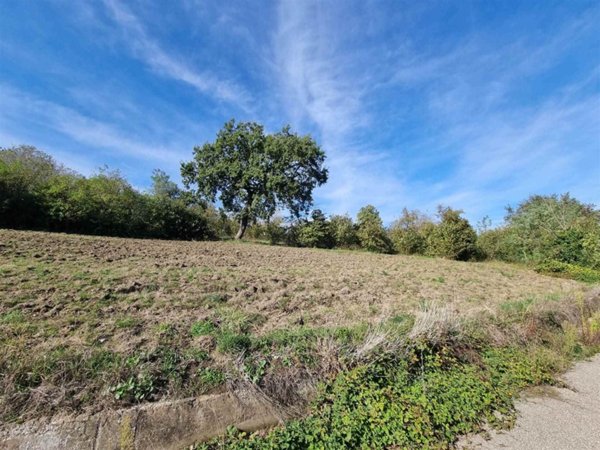 terreno agricolo in vendita a Montefusco