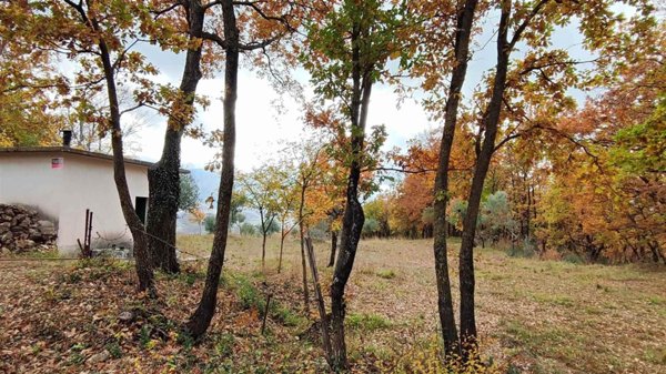 terreno agricolo in vendita a Montella