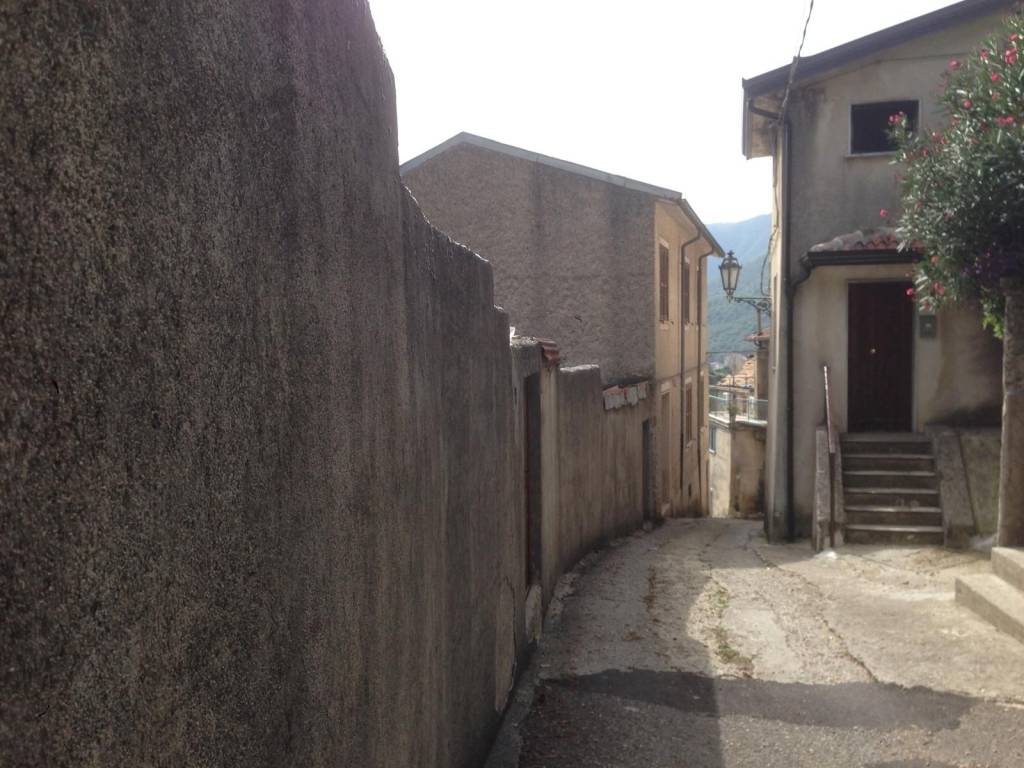 immagine annuncio 0 di 15