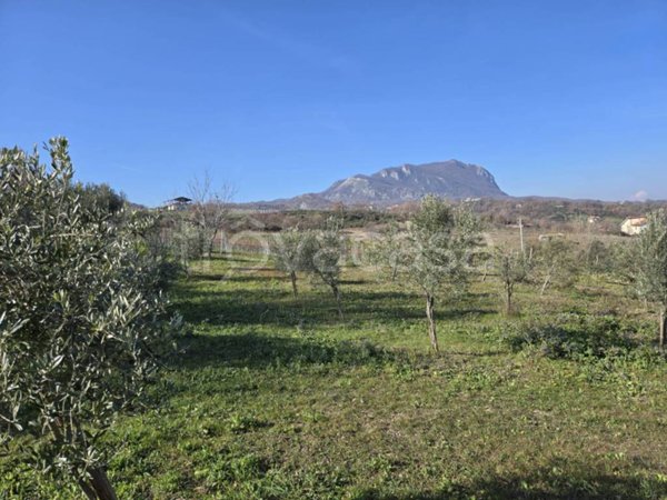 terreno agricolo in vendita a Montemarano