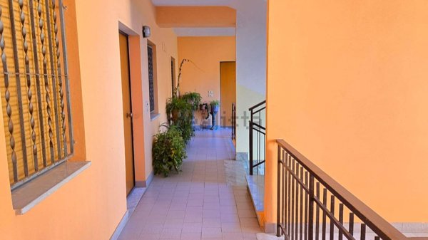 immagine annuncio 0 di 1