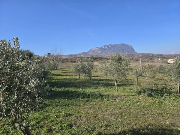 terreno agricolo in vendita a Montemarano