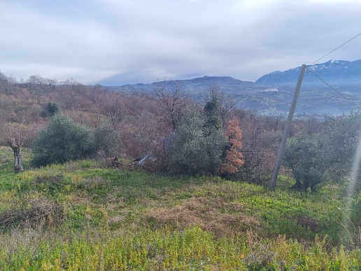 casa indipendente in vendita a Montemarano
