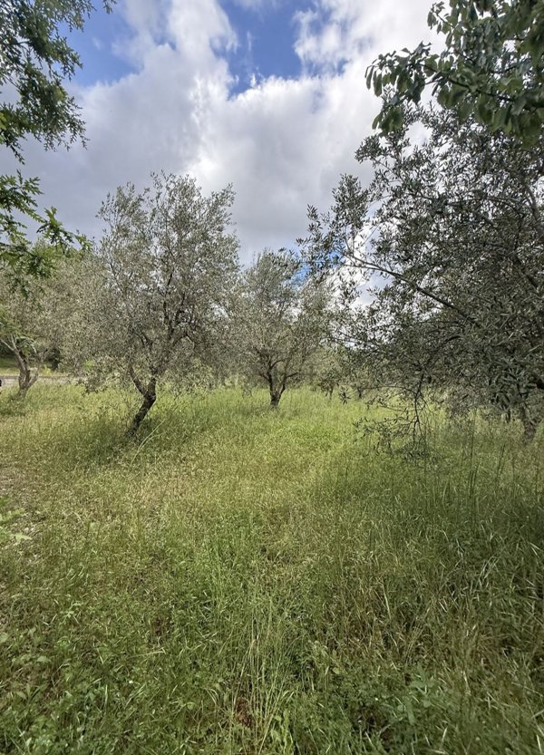 casa indipendente in vendita a Montemarano