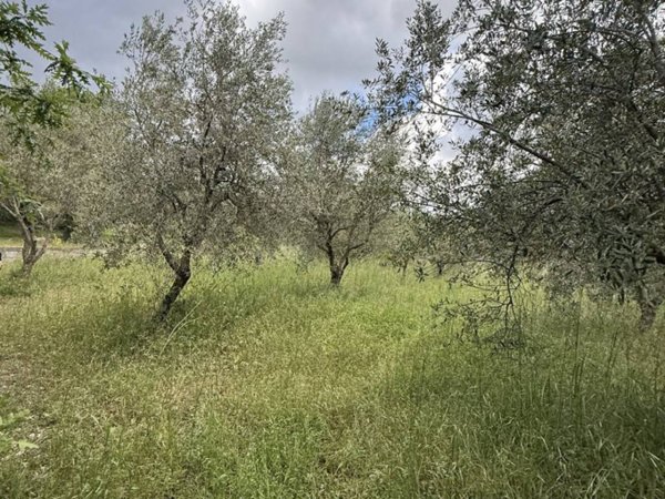 casa indipendente in vendita a Montemarano