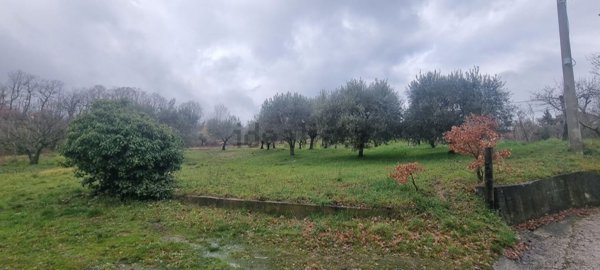 terreno in vendita a Montemarano