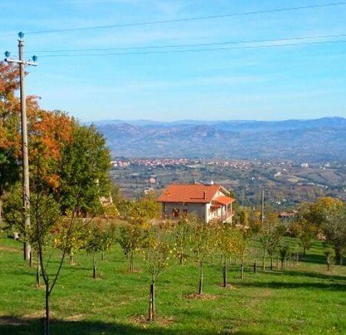 terreno agricolo in vendita a Montemiletto