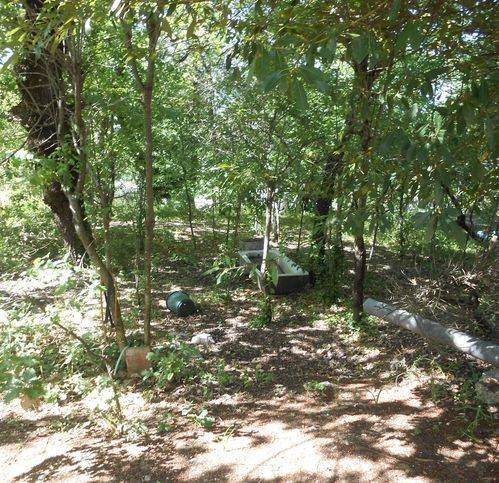 casa indipendente in vendita a Montemiletto in zona Montaperto