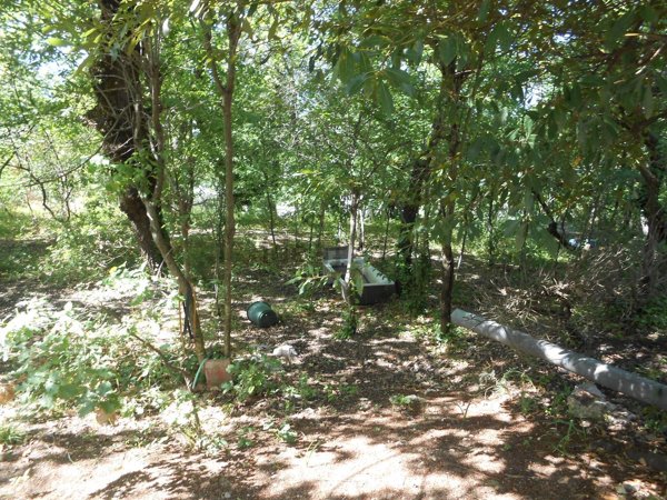 casa indipendente in vendita a Montemiletto in zona Montaperto