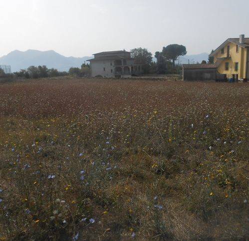 terreno agricolo in vendita a Montemiletto in zona Montaperto