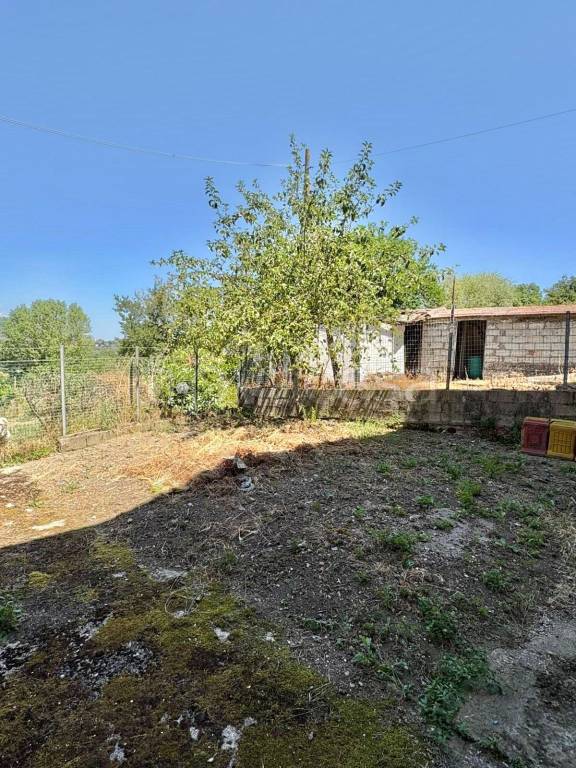 casa indipendente in vendita a Montemiletto