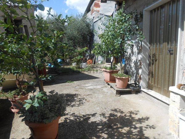 casa indipendente in vendita a Montemiletto