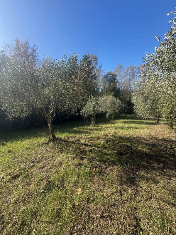 casa indipendente in vendita a Montemiletto