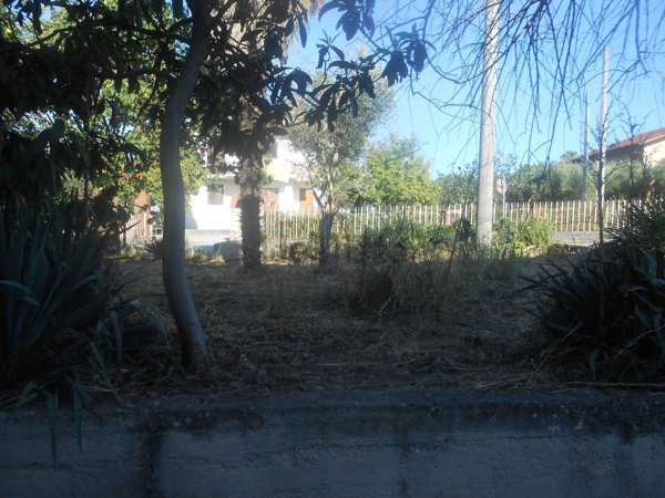 casa indipendente in vendita a Montemiletto