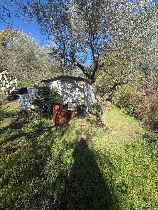 terreno agricolo in vendita a Montemiletto