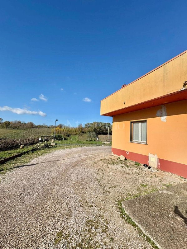 casa indipendente in vendita a Montemiletto