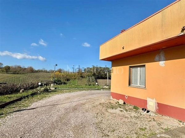 appartamento in vendita a Montemiletto