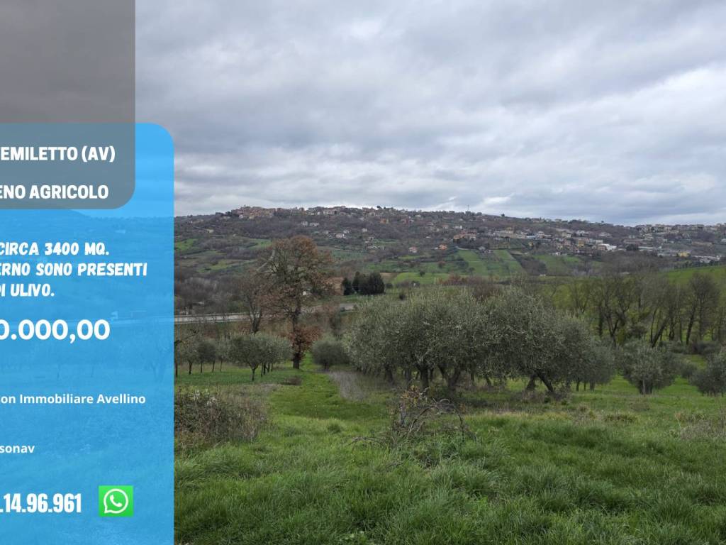 terreno agricolo in vendita a Montemiletto