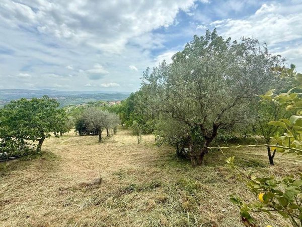 casa indipendente in vendita a Montemiletto