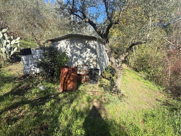 terreno agricolo in vendita a Montemiletto in zona Festola