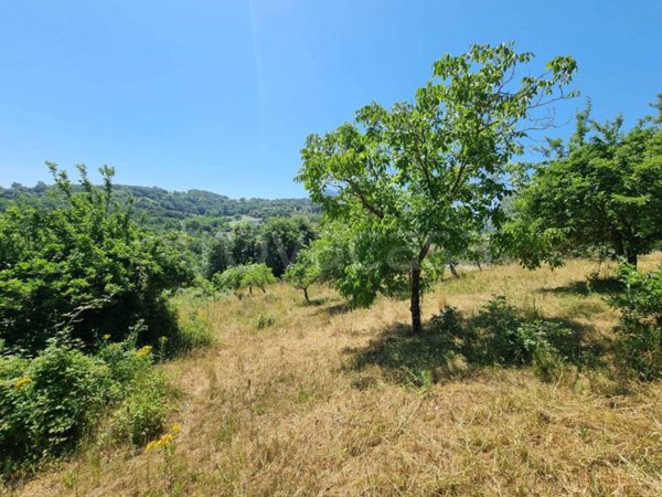 terreno agricolo in vendita a Montemiletto in zona Lomba