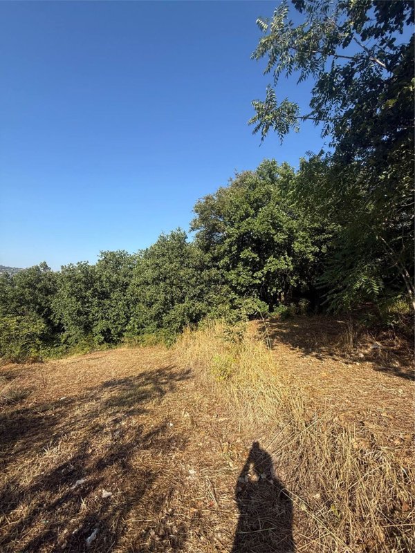 terreno in vendita a Montemiletto