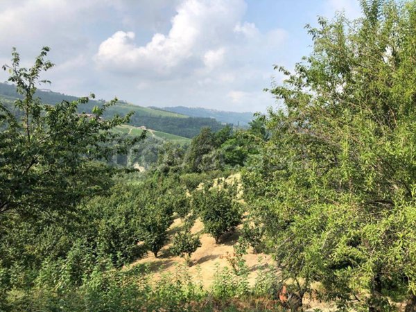 terreno agricolo in vendita ad Albaretto della Torre in zona Sant'Antonino