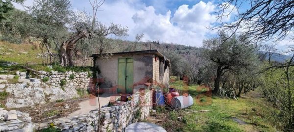 terreno agricolo in vendita a Mugnano del Cardinale