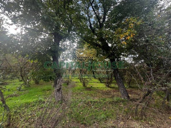 terreno edificabile in vendita a Mugnano del Cardinale