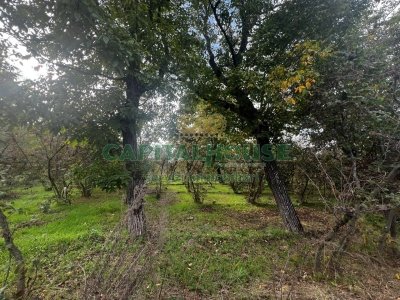 terreno agricolo in vendita a Mugnano del Cardinale
