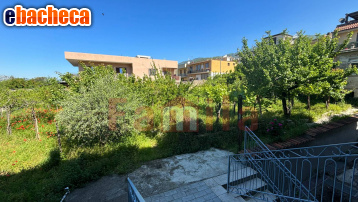 casa indipendente in vendita a Mugnano del Cardinale