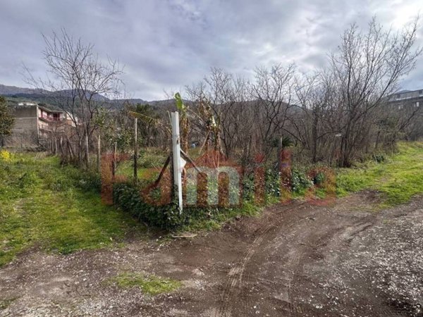 terreno agricolo in vendita a Mugnano del Cardinale