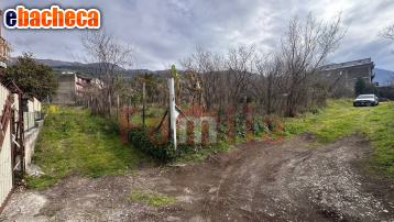 casa indipendente in vendita a Mugnano del Cardinale