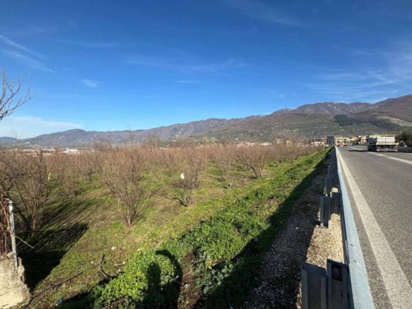 terreno agricolo in vendita a Mugnano del Cardinale