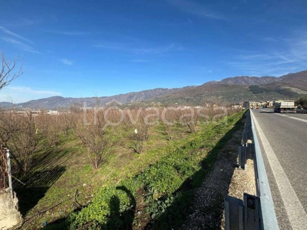 terreno industriale in vendita a Mugnano del Cardinale