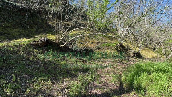 terreno edificabile in vendita a Mugnano del Cardinale