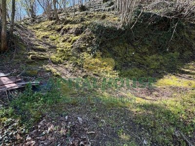 terreno agricolo in vendita a Mugnano del Cardinale