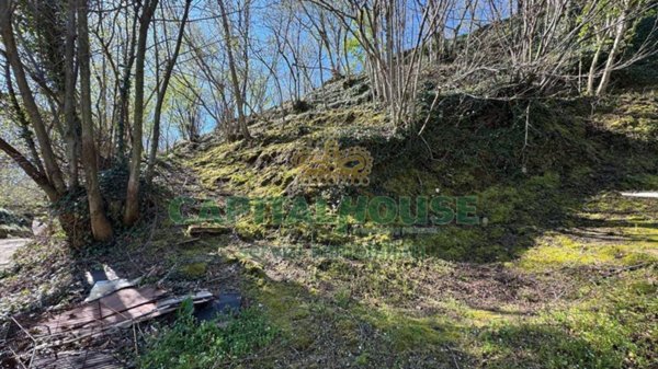terreno agricolo in vendita a Mugnano del Cardinale
