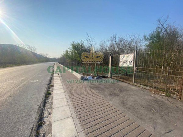 terreno agricolo in vendita a Mugnano del Cardinale