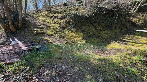 terreno agricolo in vendita a Mugnano del Cardinale