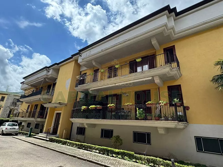 appartamento in vendita a Mugnano del Cardinale