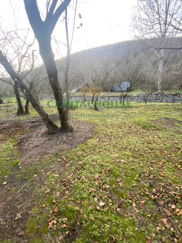 casa indipendente in vendita a Mugnano del Cardinale