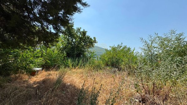 terreno agricolo in vendita a Mugnano del Cardinale