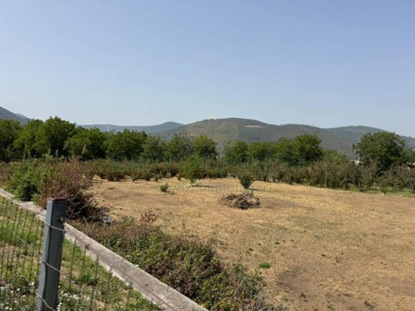 terreno agricolo in vendita a Mugnano del Cardinale